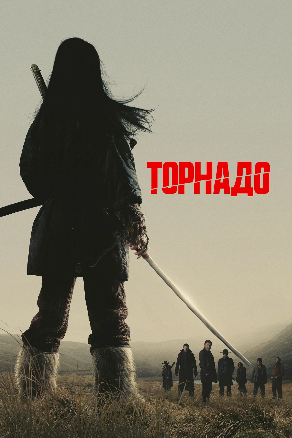 Постер фильма Торнадо