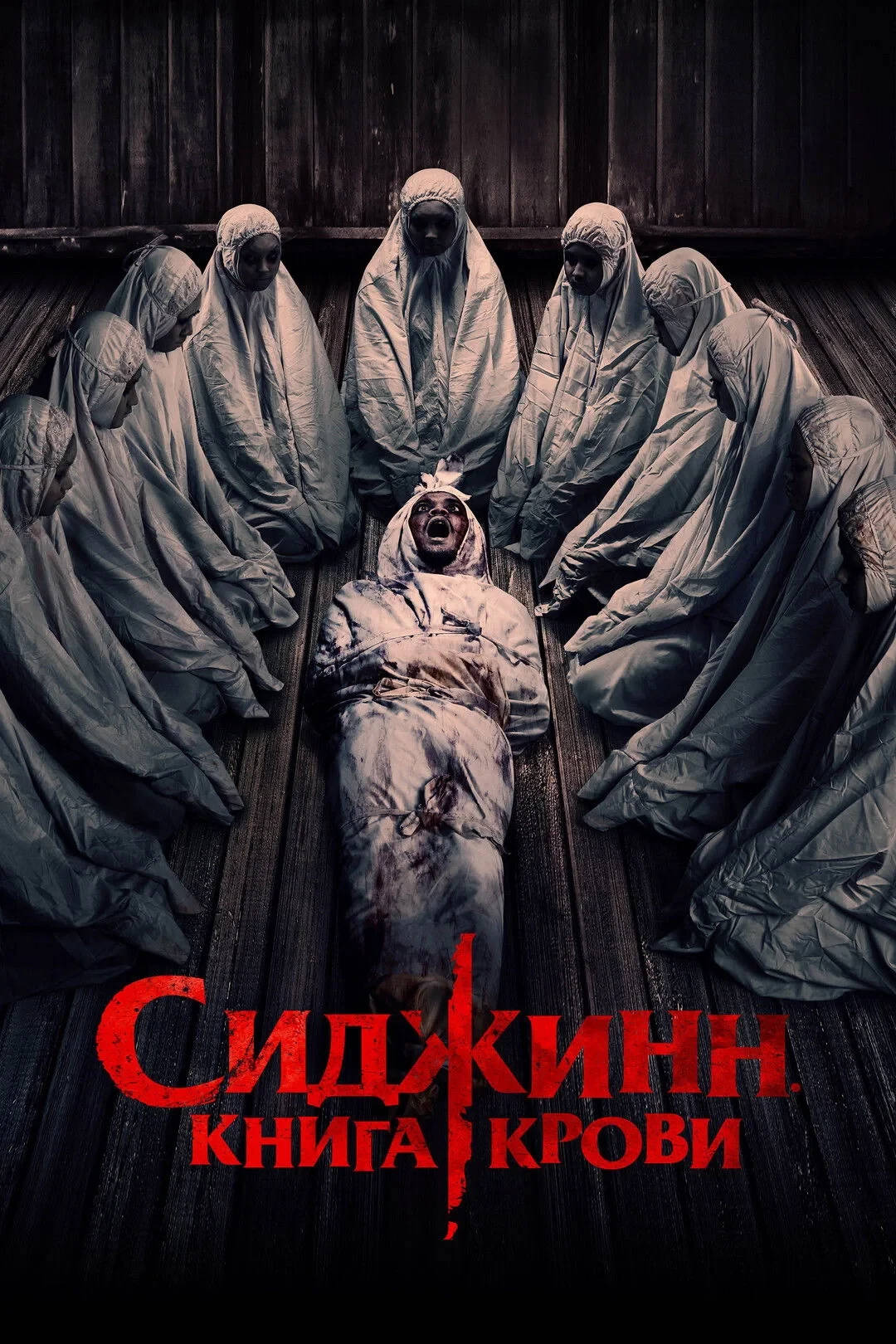 Постер фильма Сиджинн. Книга крови