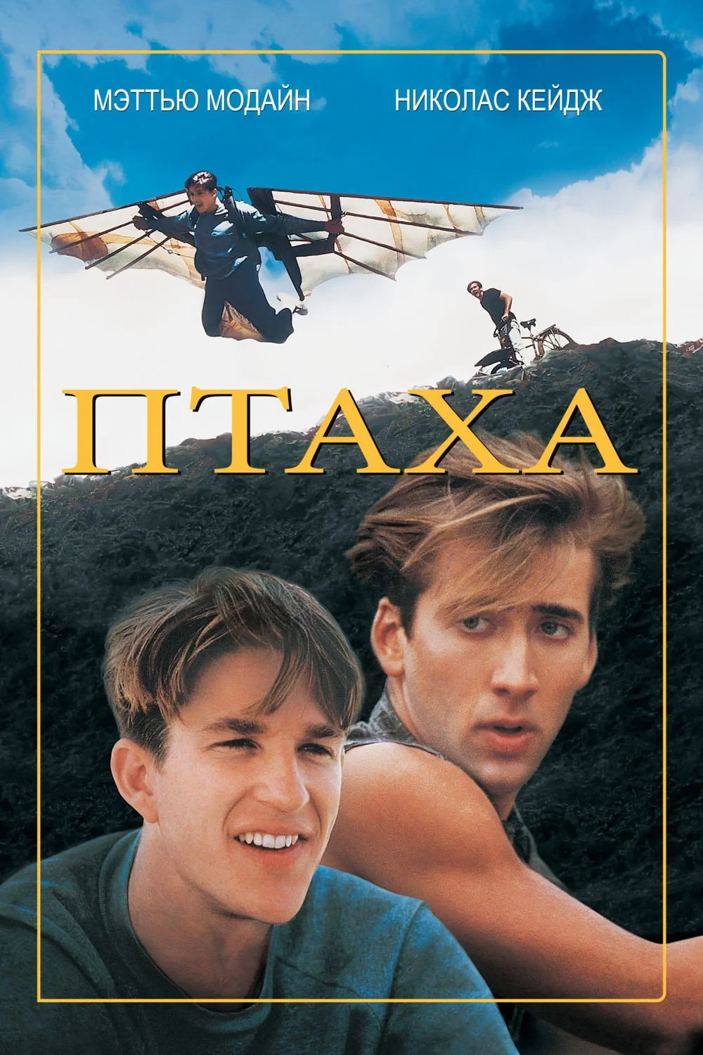 Постер фильма Птаха