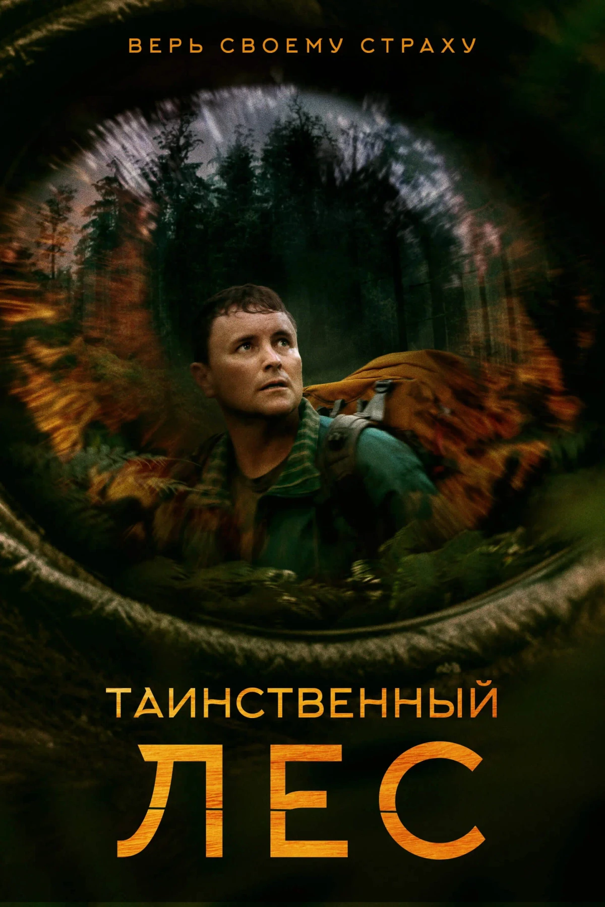 Постер фильма Таинственный лес