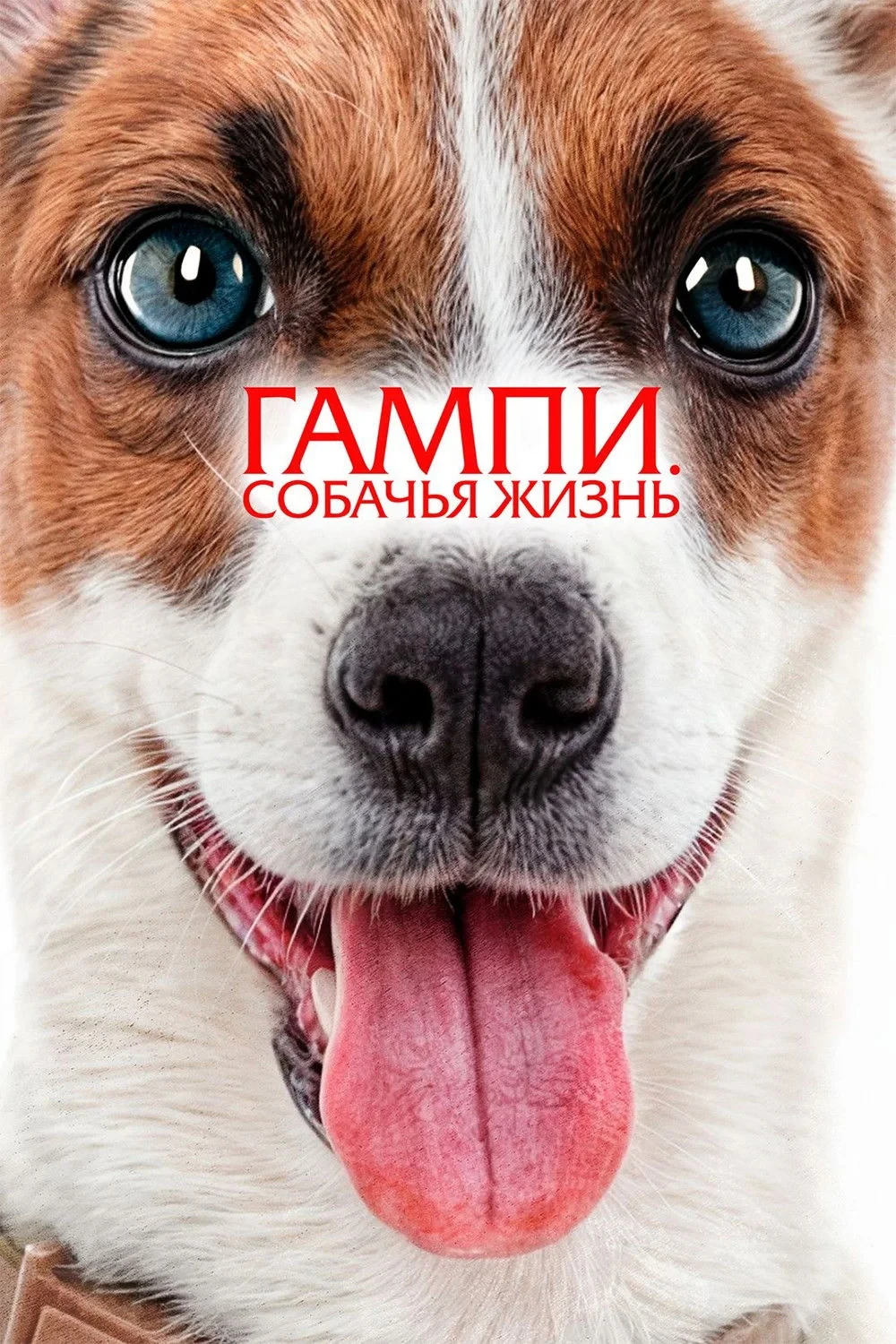 Постер фильма Гампи. Собачья жизнь