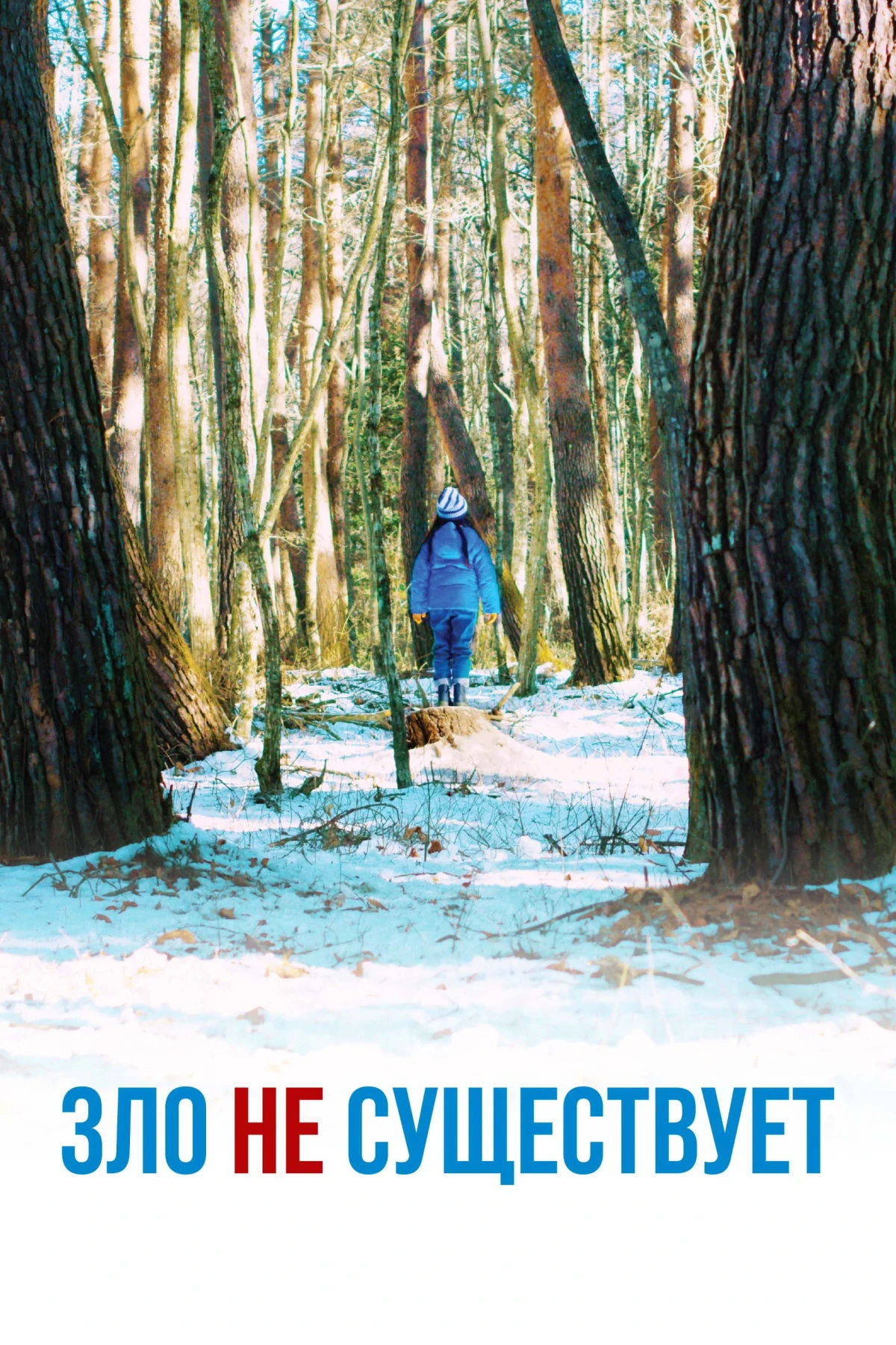 Постер фильма Зло не существует