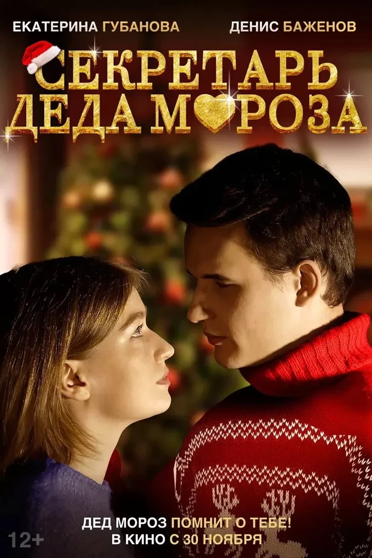 Постер фильма Секретарь Деда Мороза