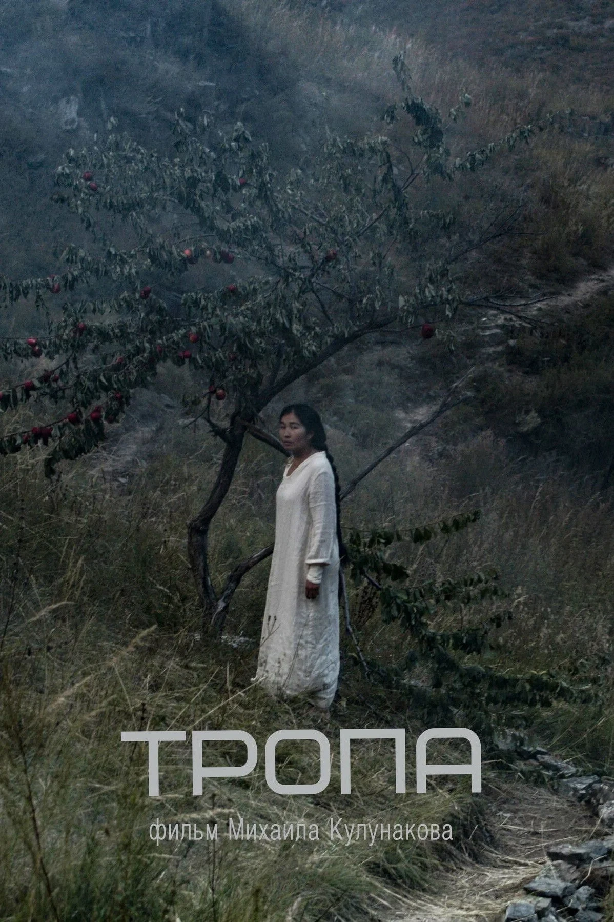 Постер фильма Тропа