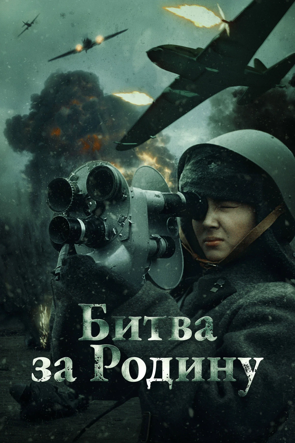 Постер фильма Битва за Родину