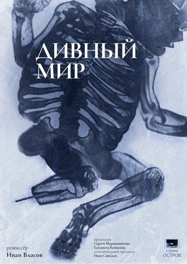 Постер фильма Дивный мир