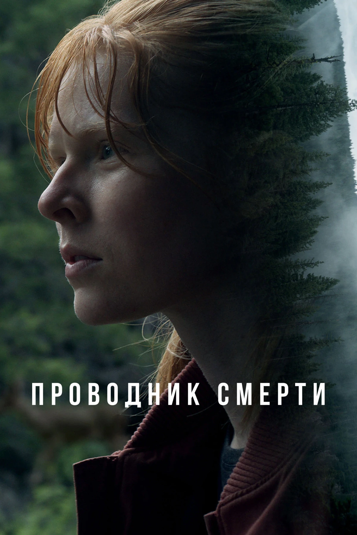 Постер фильма Проводник смерти