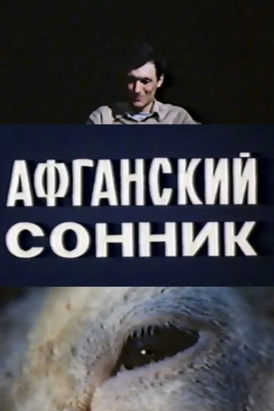Постер фильма Афганский сонник