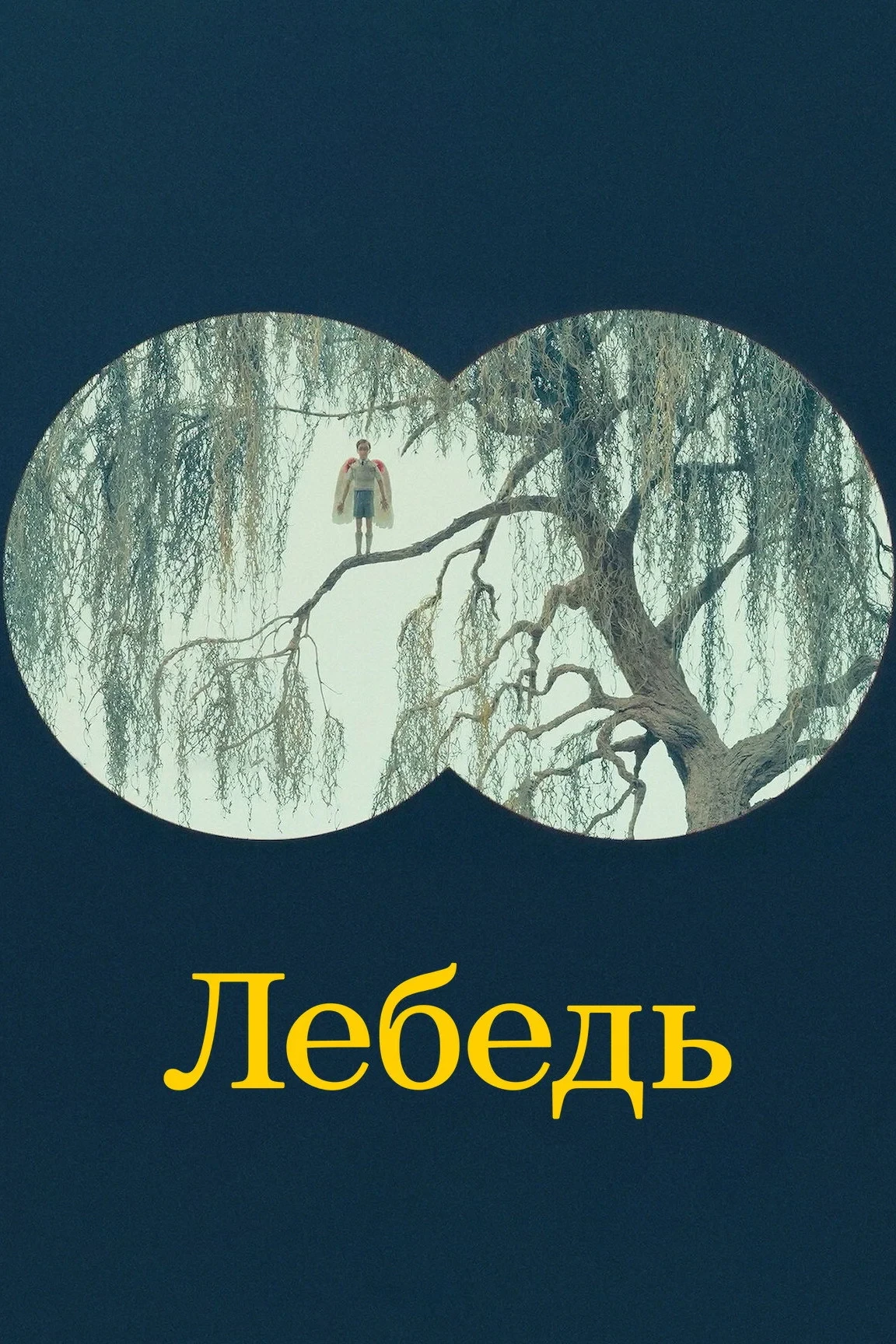 Постер фильма Лебедь