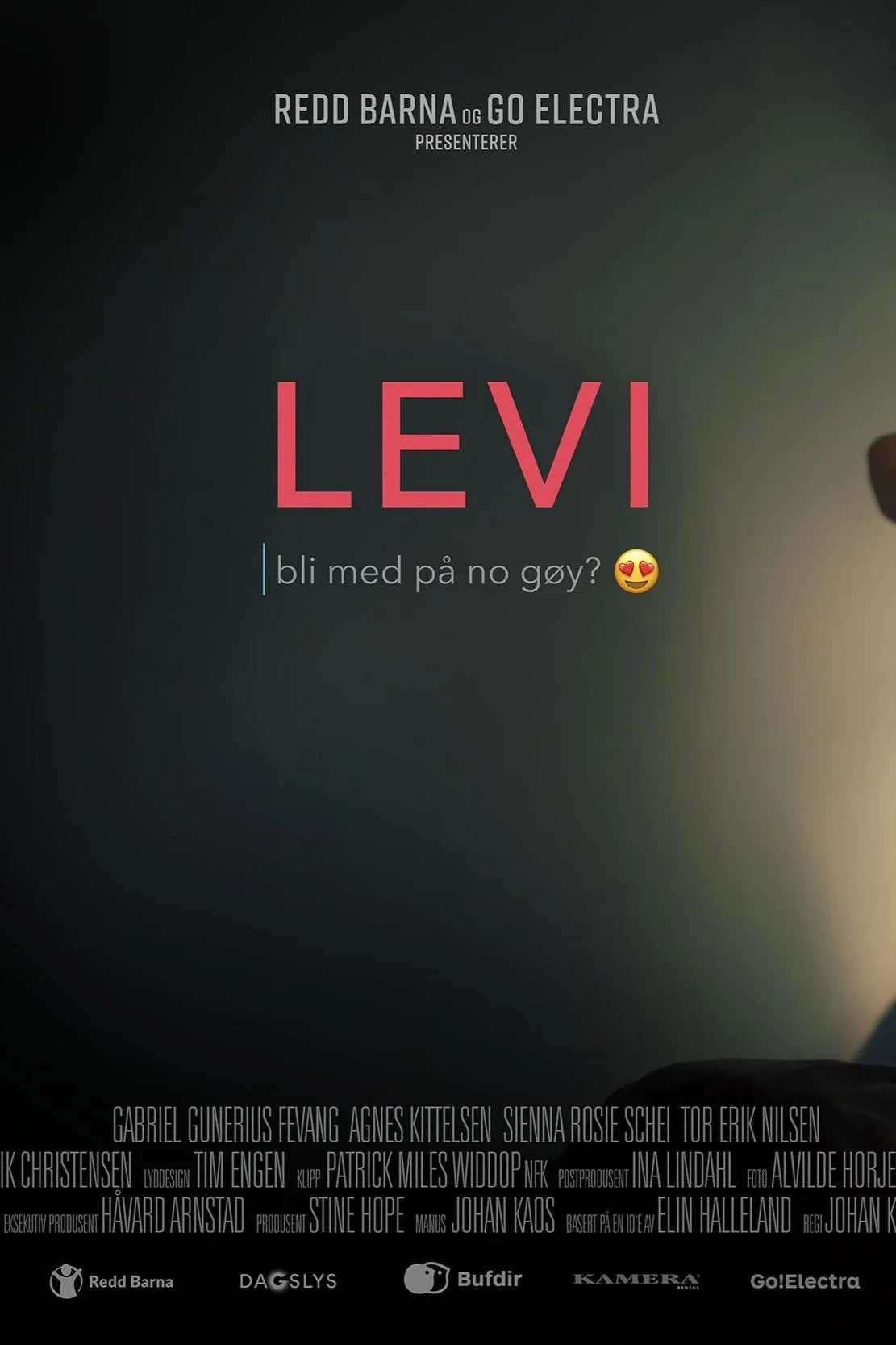 Постер фильма Леви