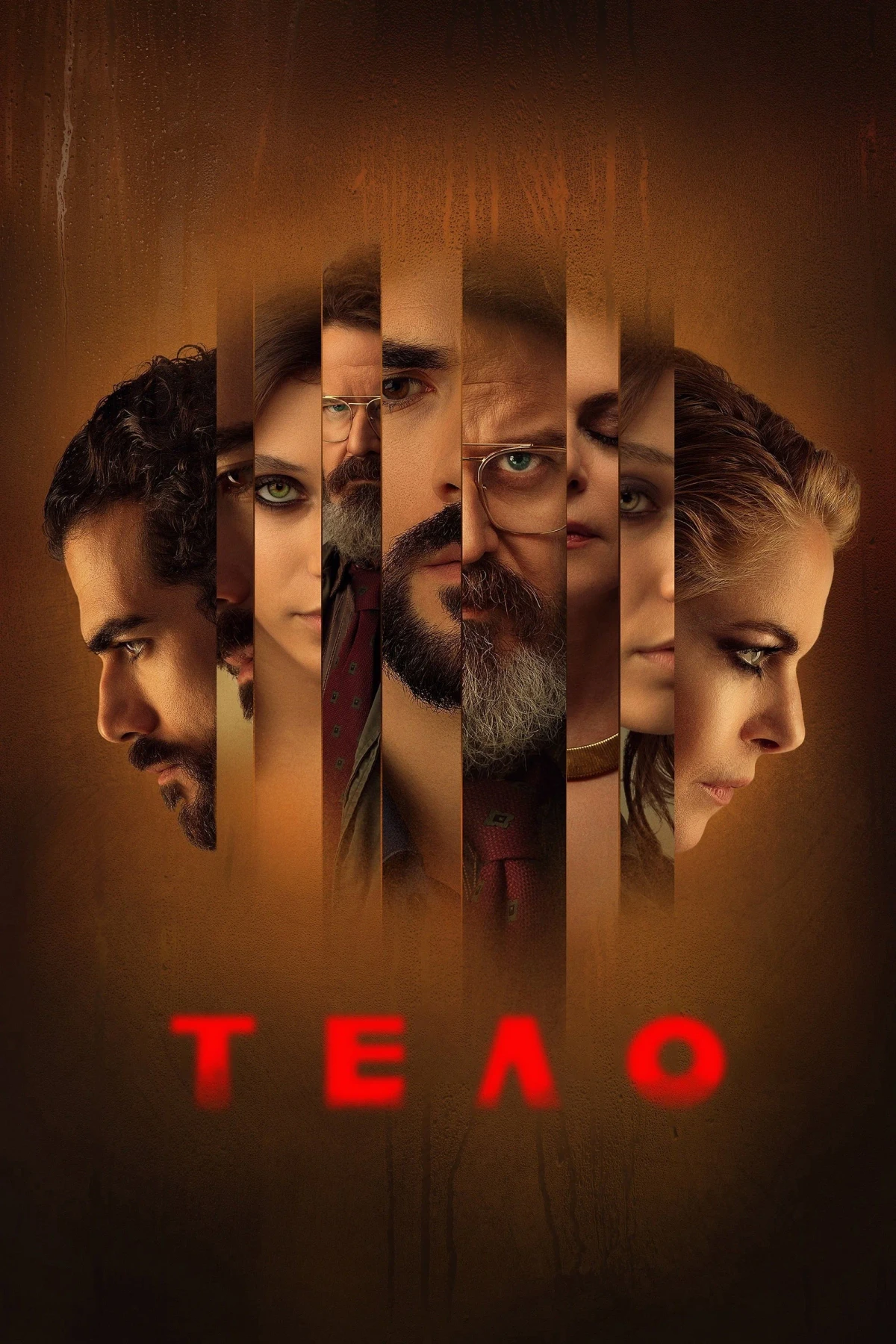 Постер фильма Тело