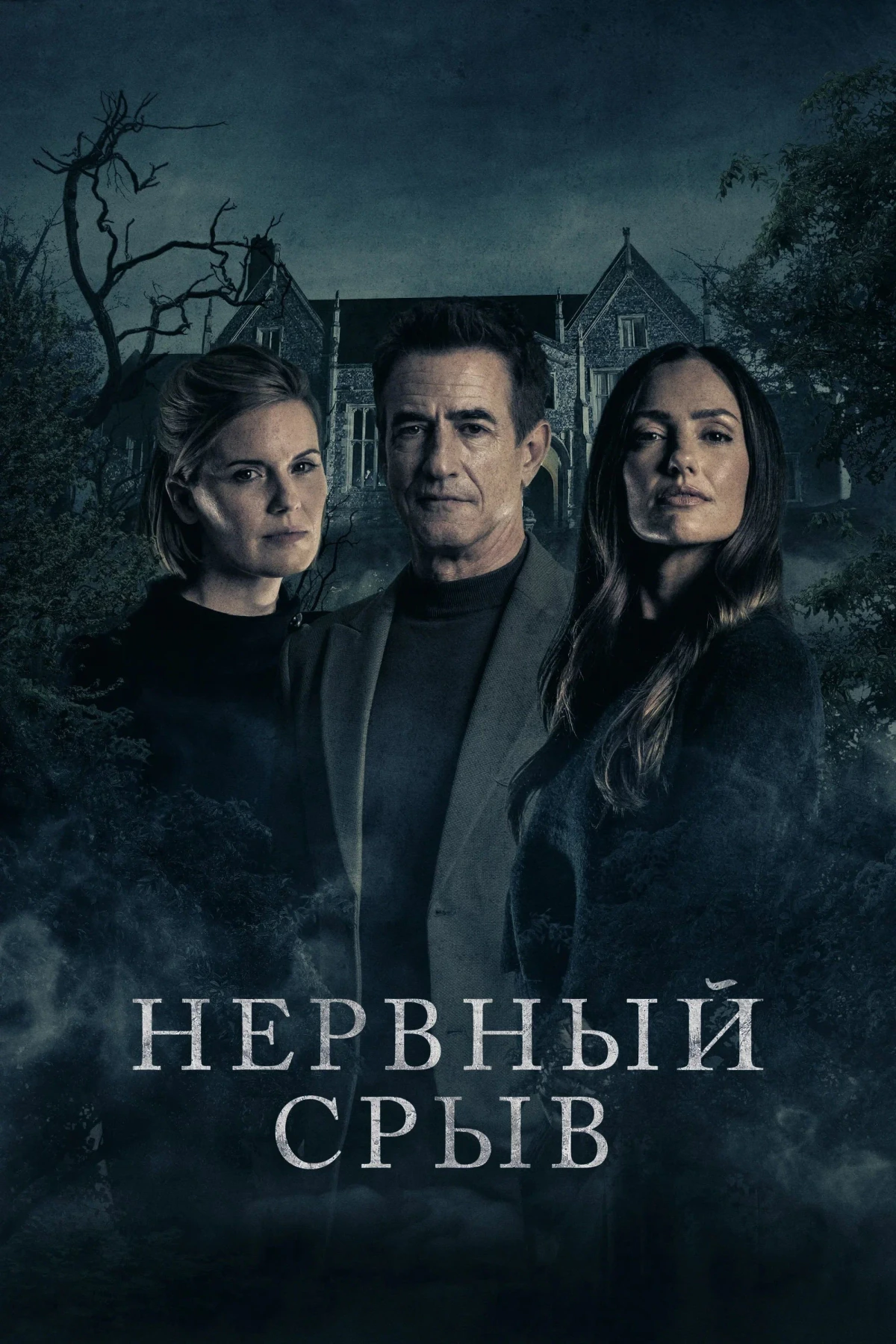 Постер фильма Нервный срыв