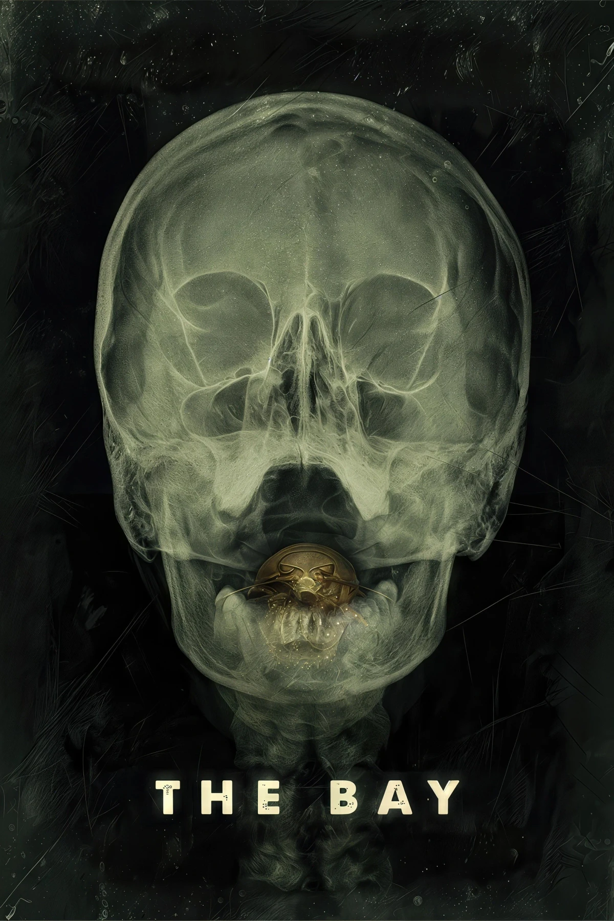 Постер фильма Залив