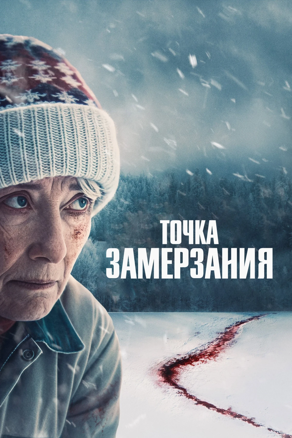 Постер фильма Точка замерзания