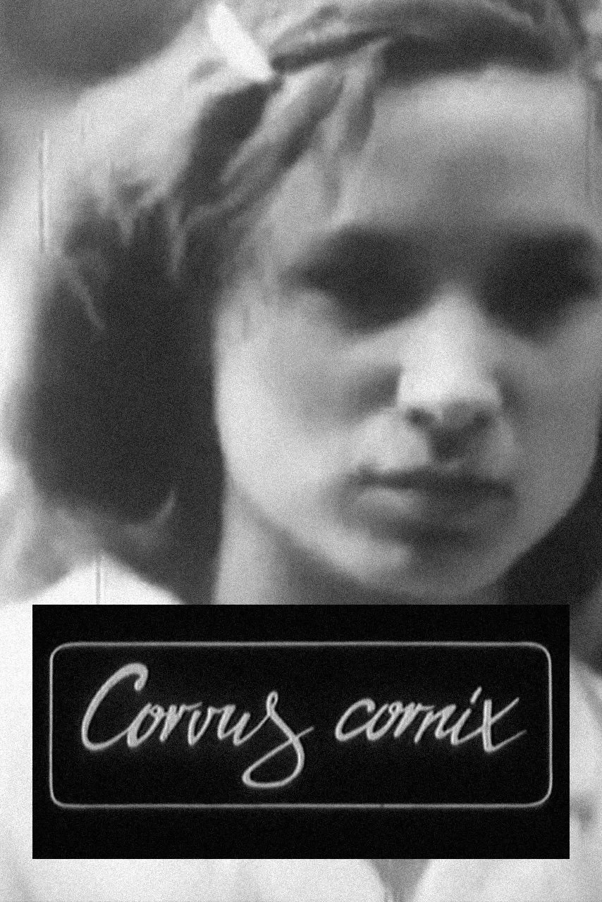 Постер фильма Corvus Cornix — с латинского ворона