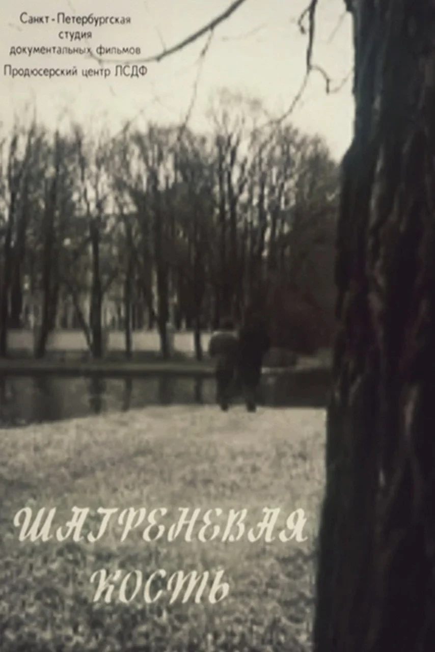 Постер фильма Шагреневая кость