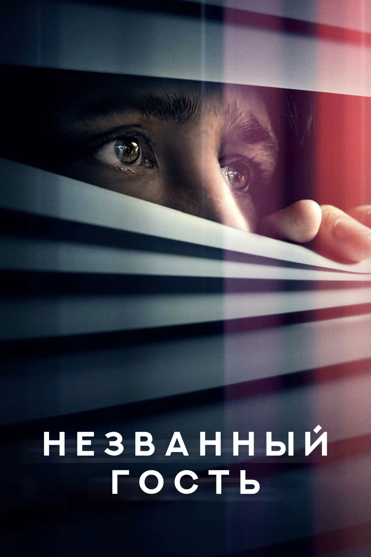 Постер фильма Незваный гость