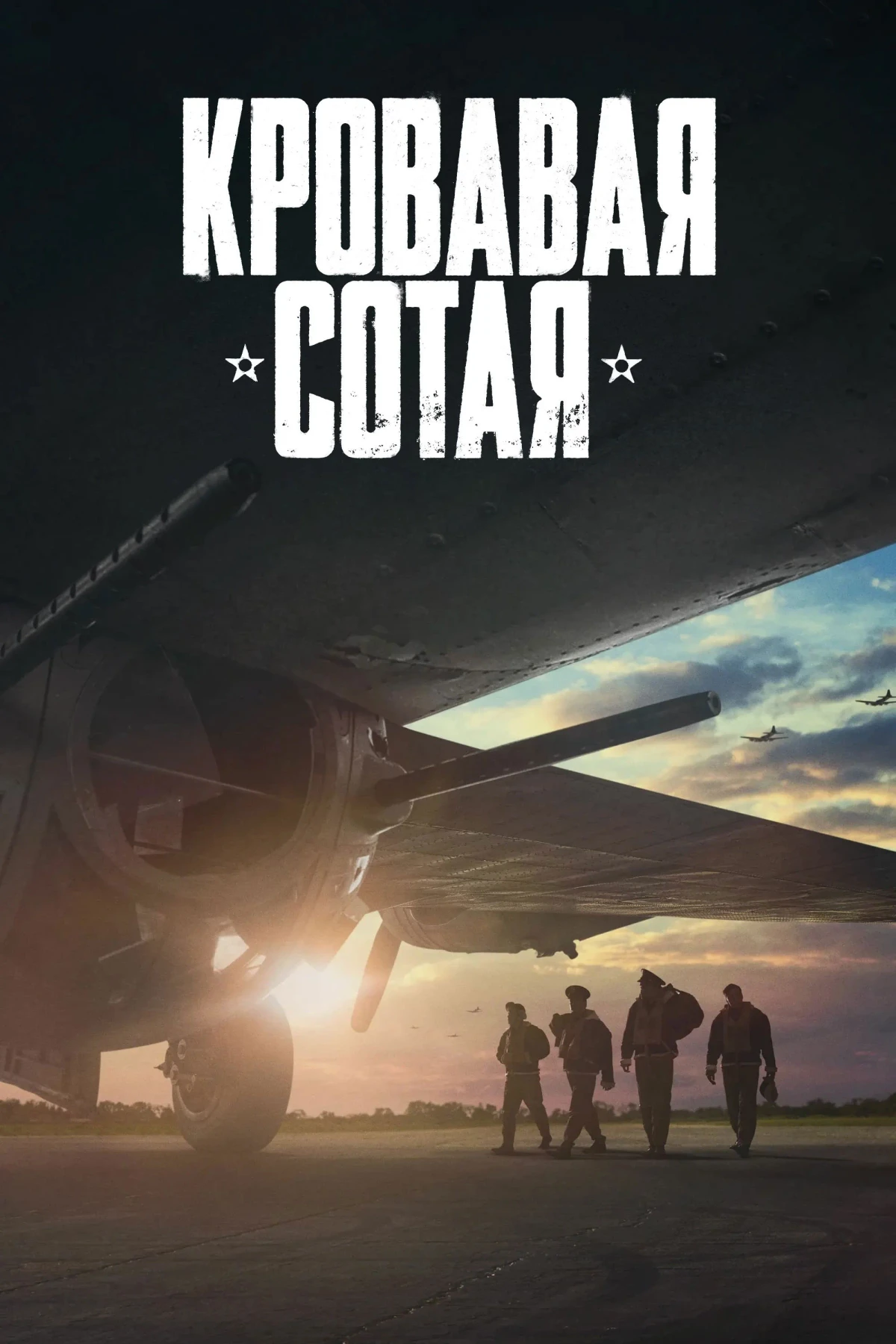 Постер фильма Кровавая сотая