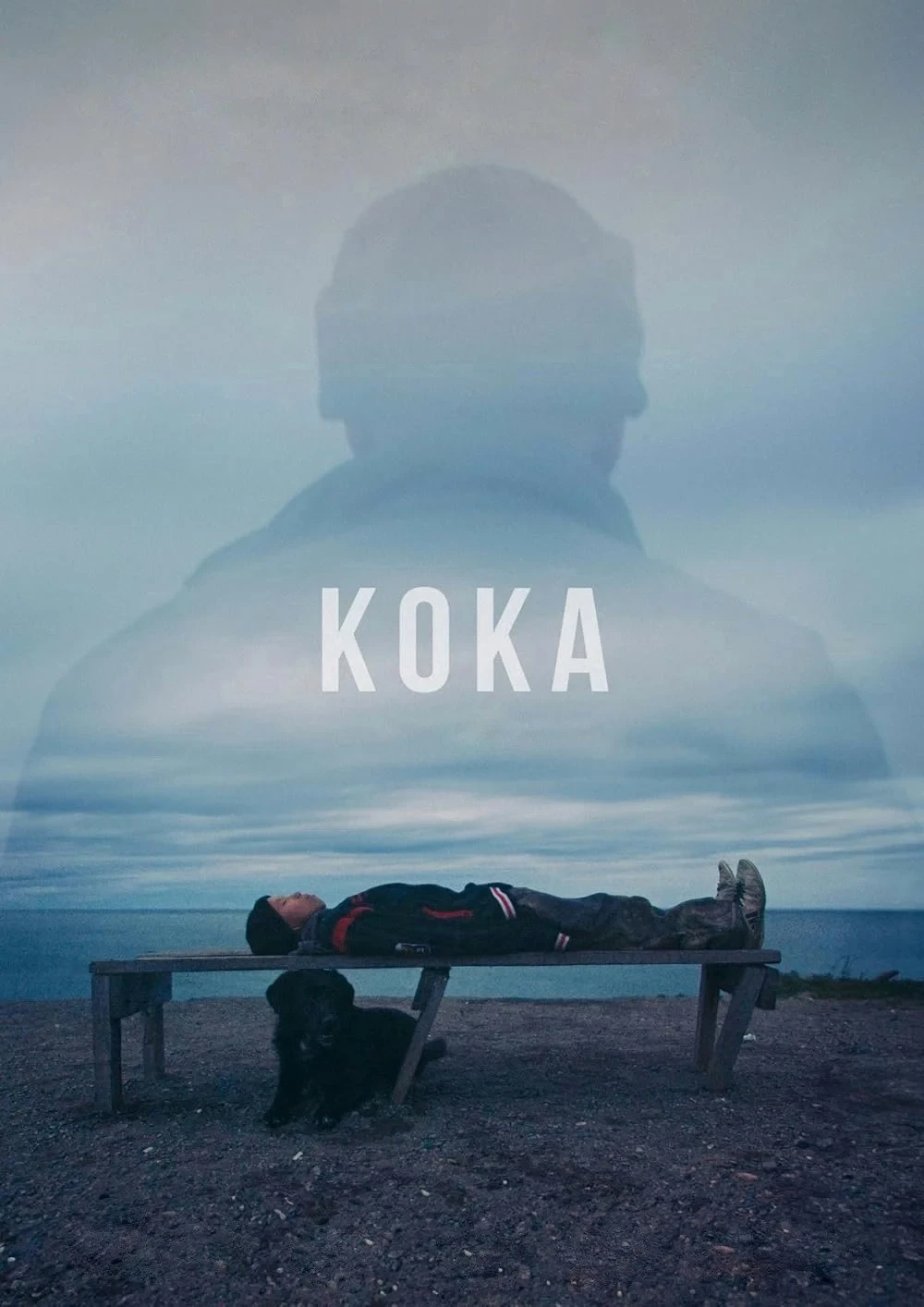 Постер фильма Кока
