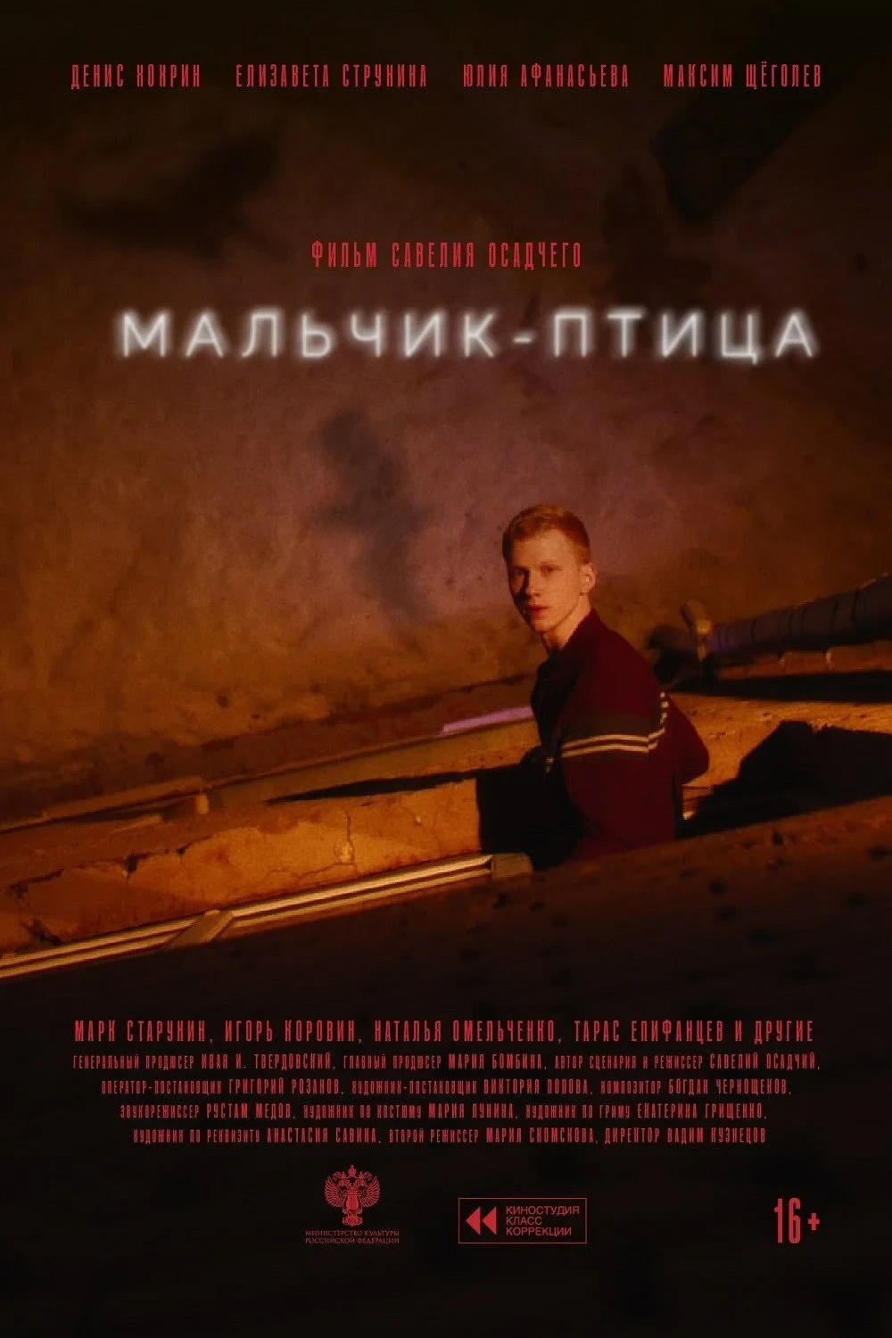 Постер фильма Мальчик-птица