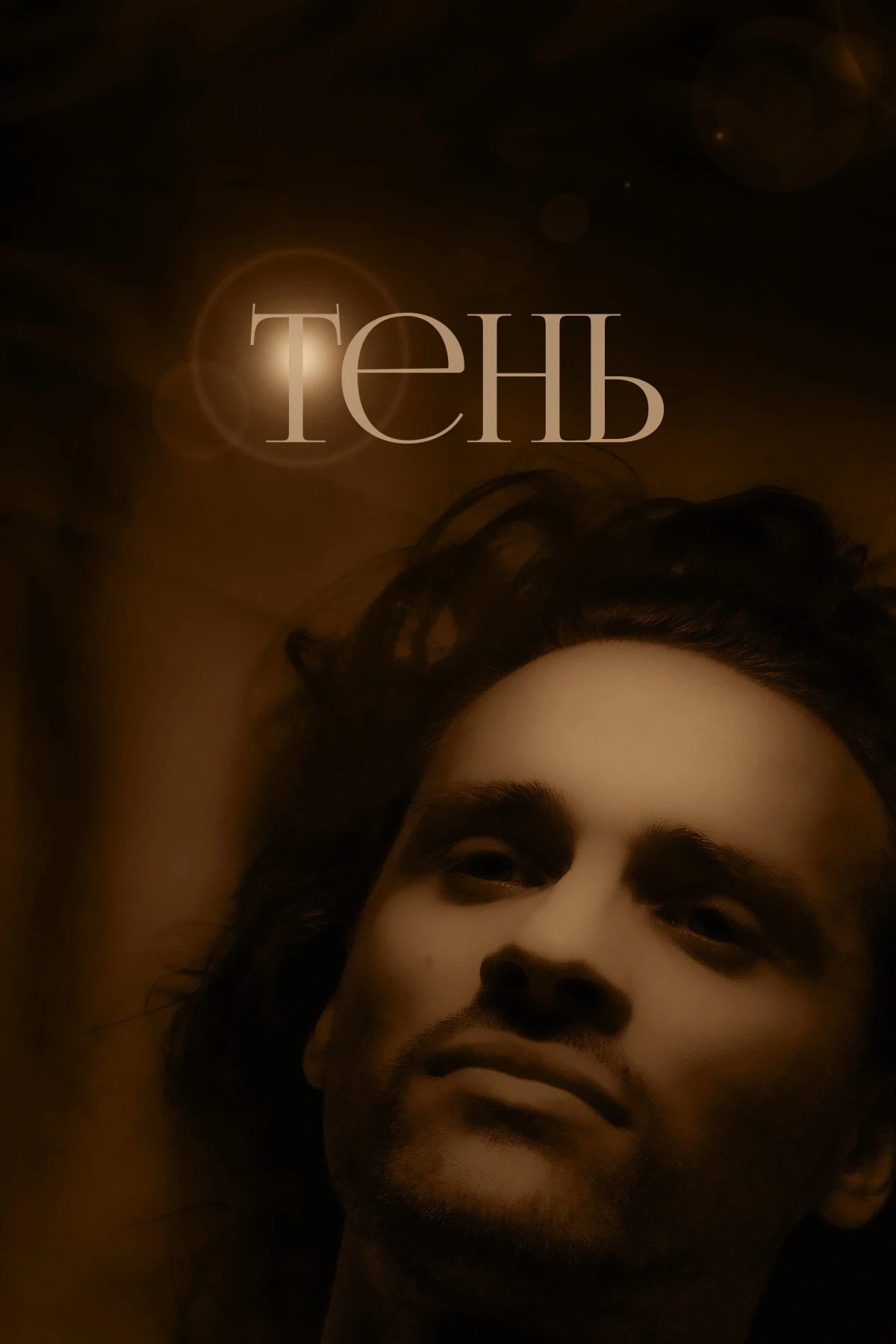 Постер фильма Тень
