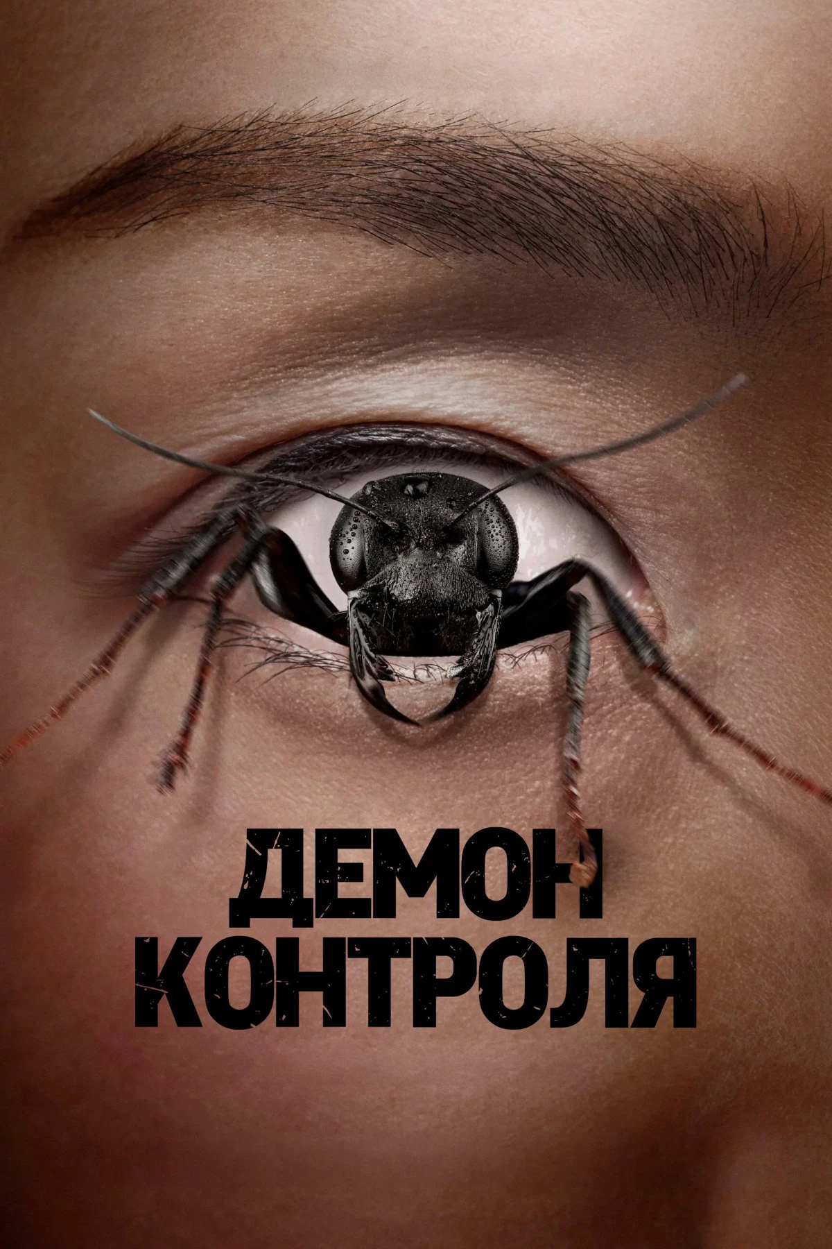 Постер фильма Демон контроля
