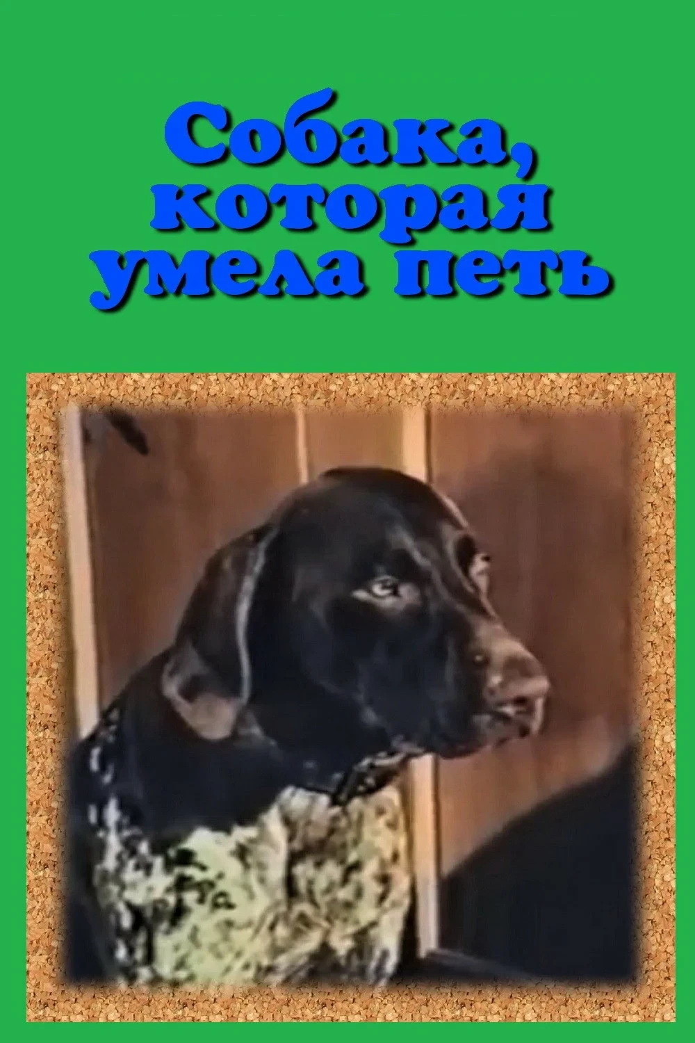 Постер фильма Собака, которая умела петь