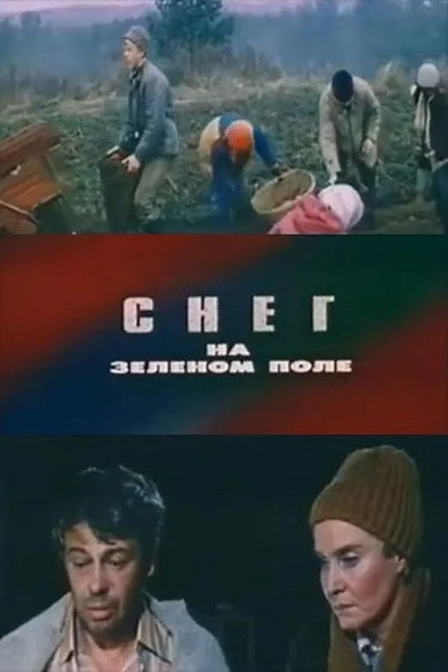 Постер фильма Снег на зелёном поле
