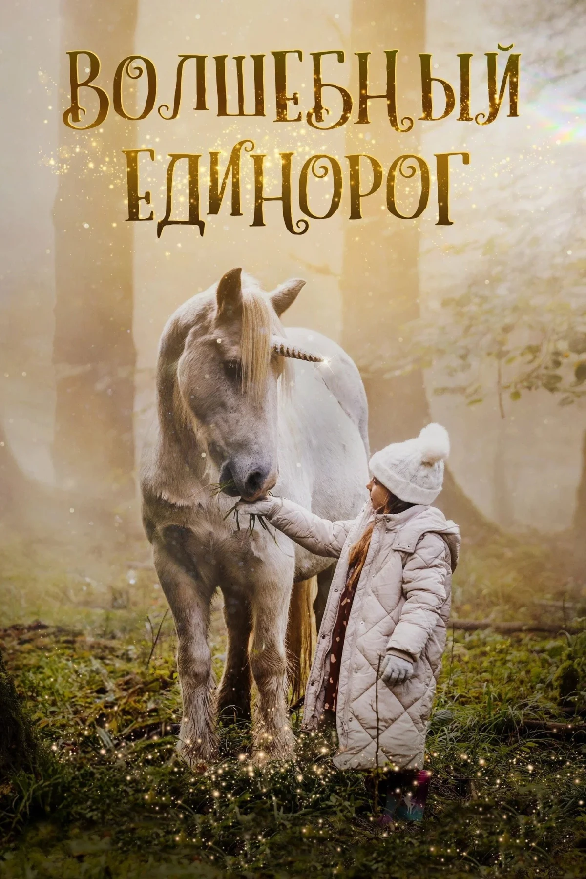 Постер фильма Волшебный единорог