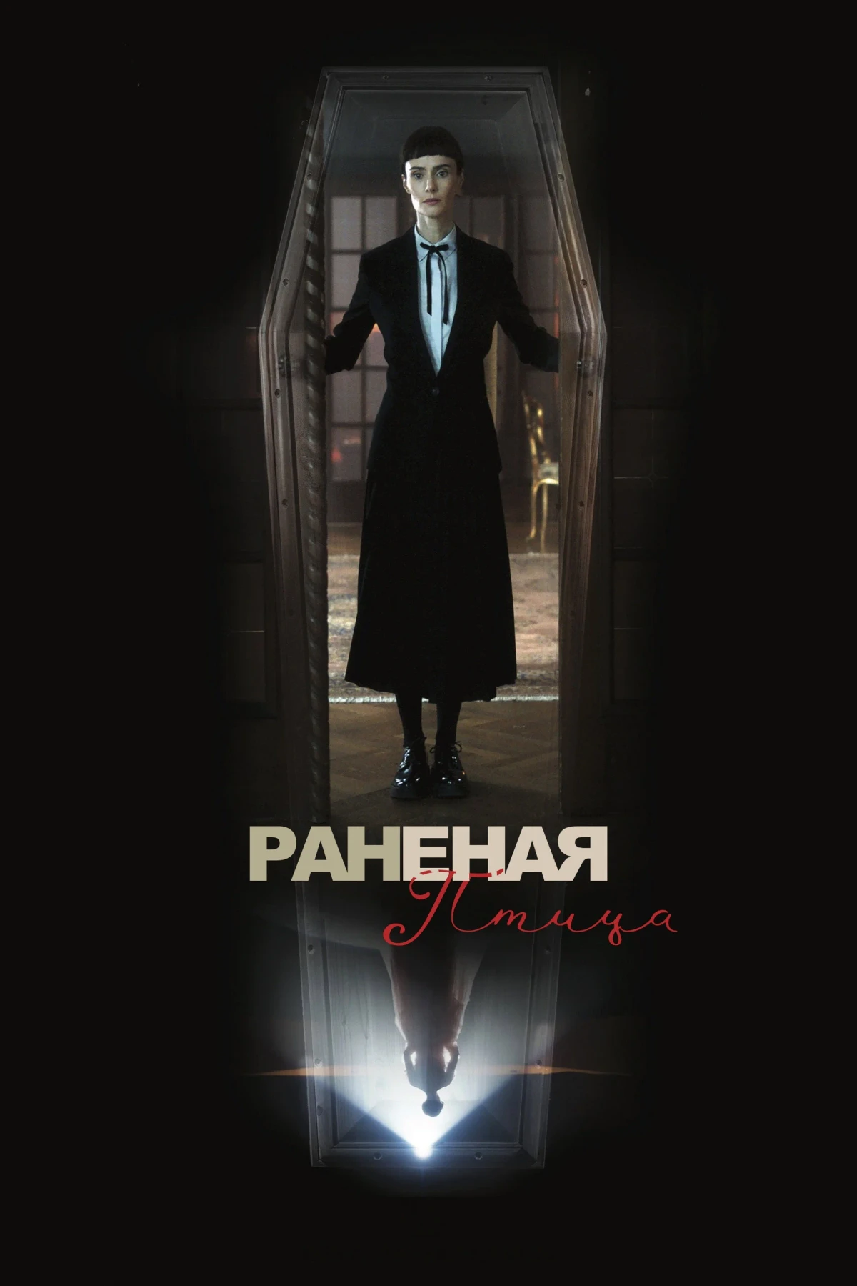 Постер фильма Сломанная птица