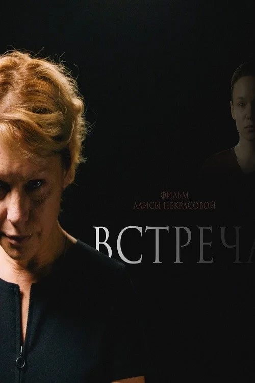 Постер фильма Встреча
