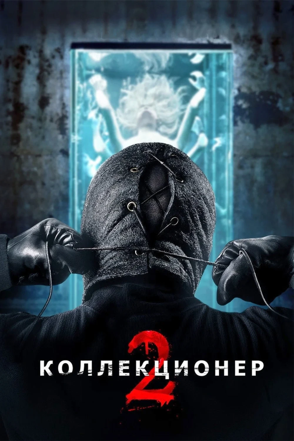 Постер фильма Коллекционер 2
