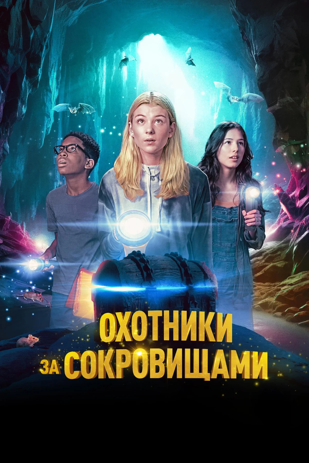 Постер фильма Охотники за сокровищами