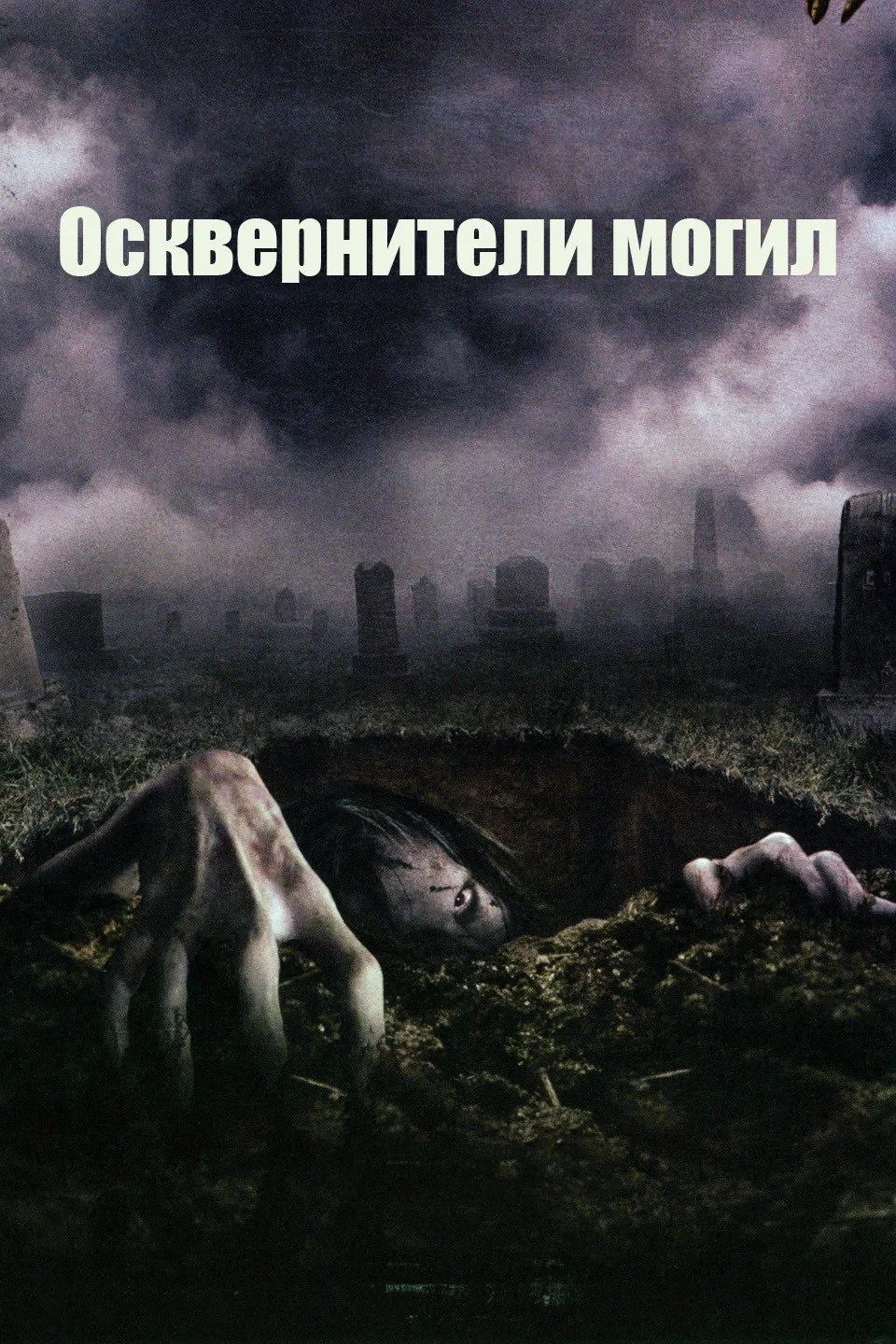 Постер фильма Осквернители могил