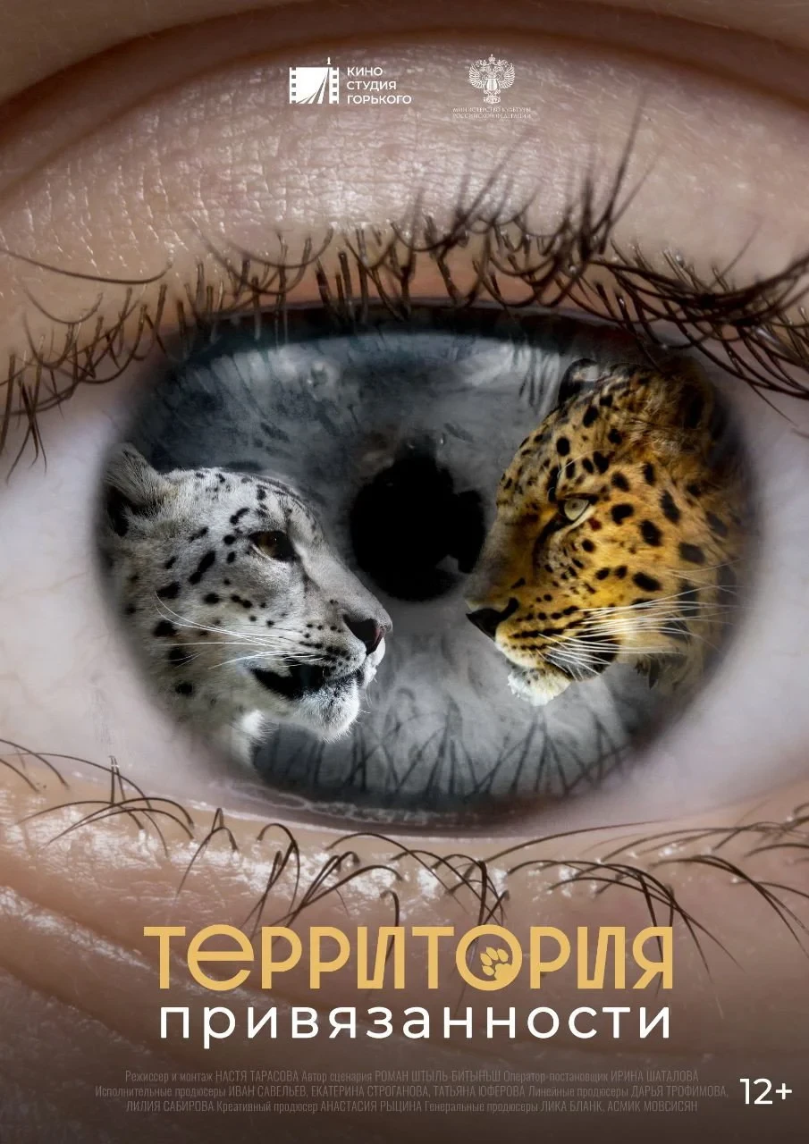 Постер фильма Территория привязанности