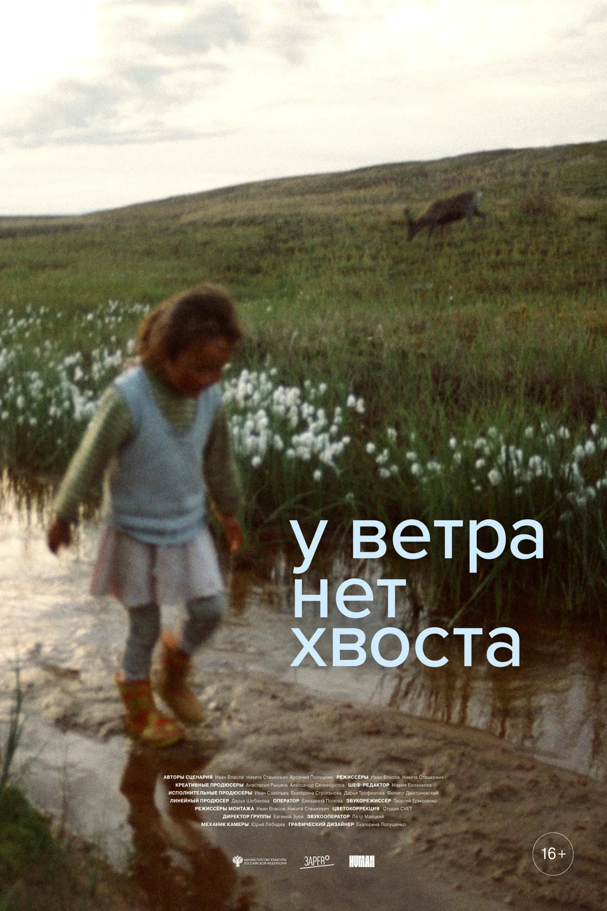 Постер фильма У ветра нет хвоста
