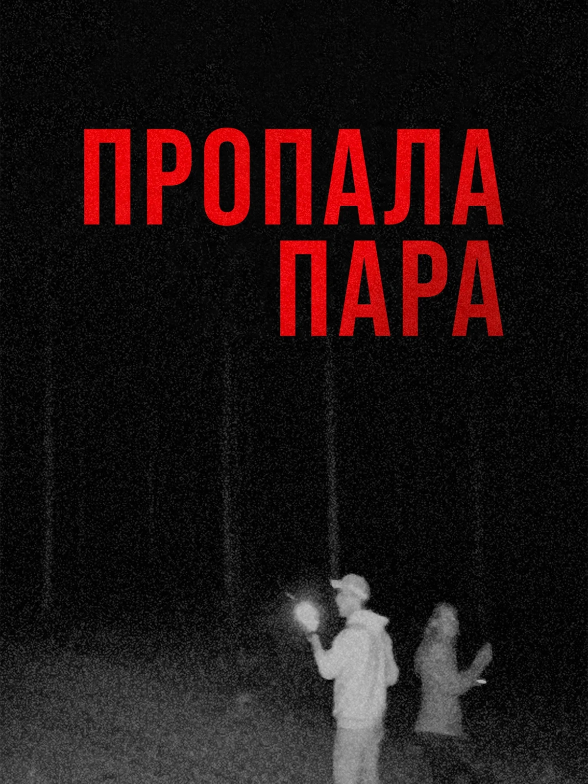 Постер фильма Пропала пара