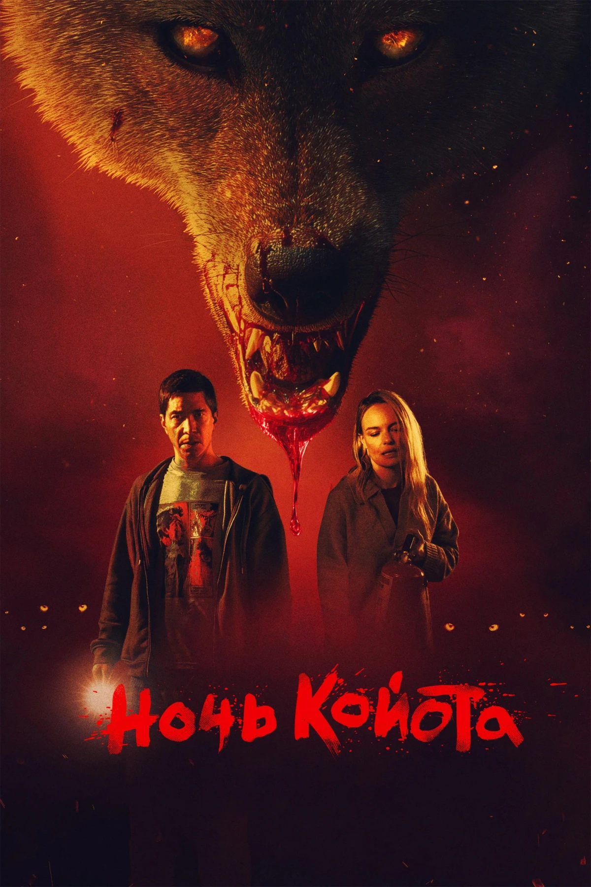 Постер фильма Ночь койота