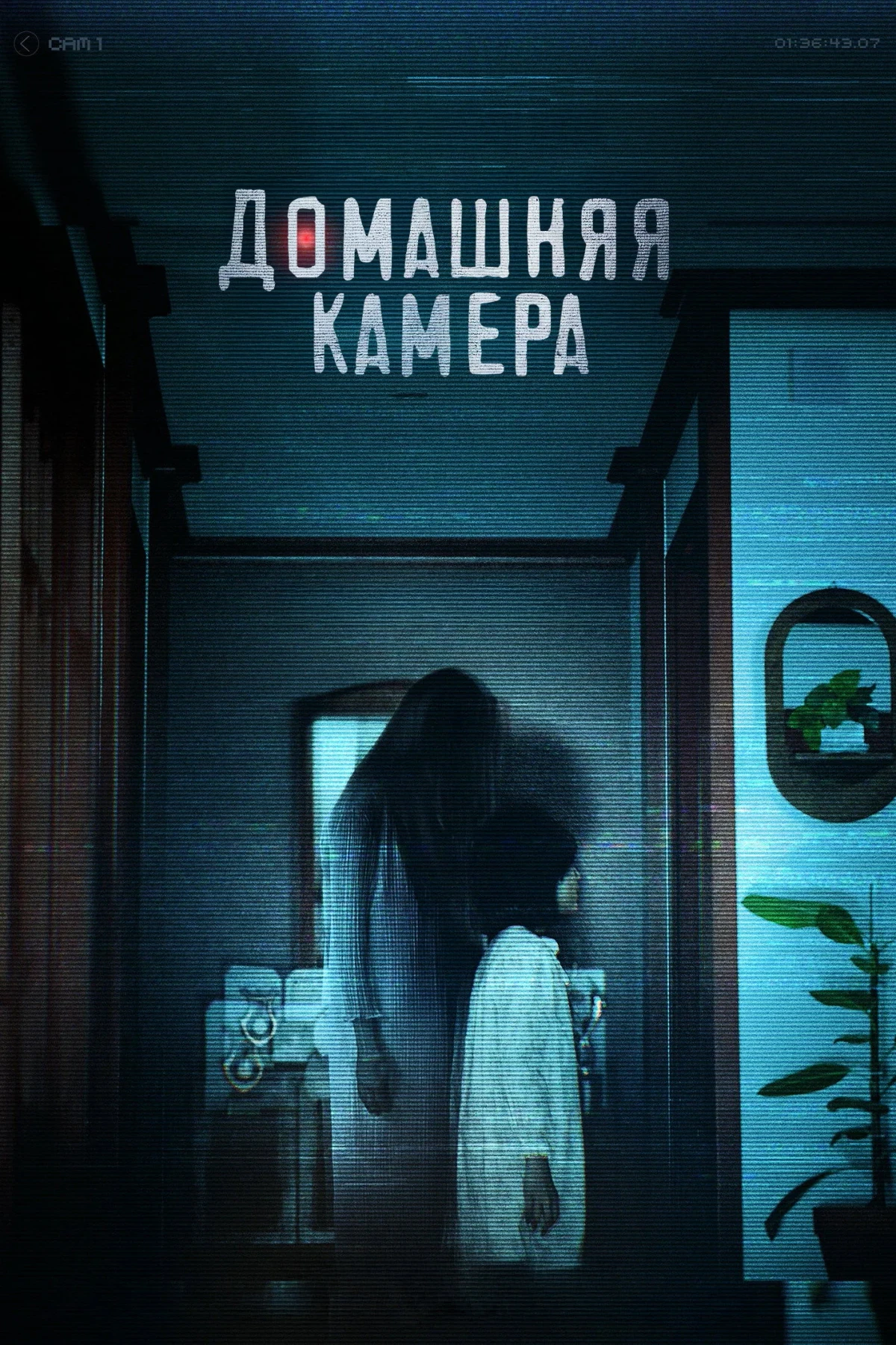 Постер фильма Домашняя камера