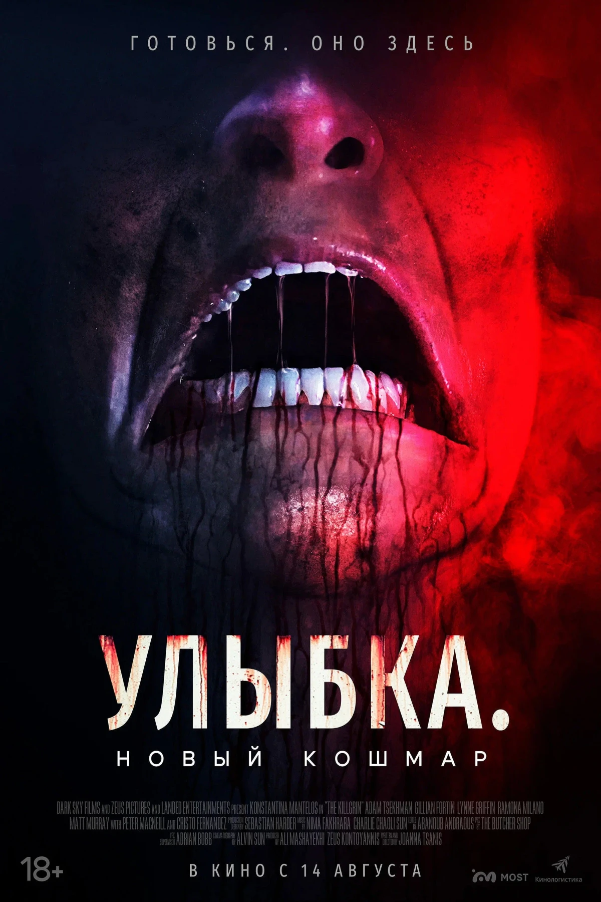 Постер фильма Улыбка. Новый кошмар