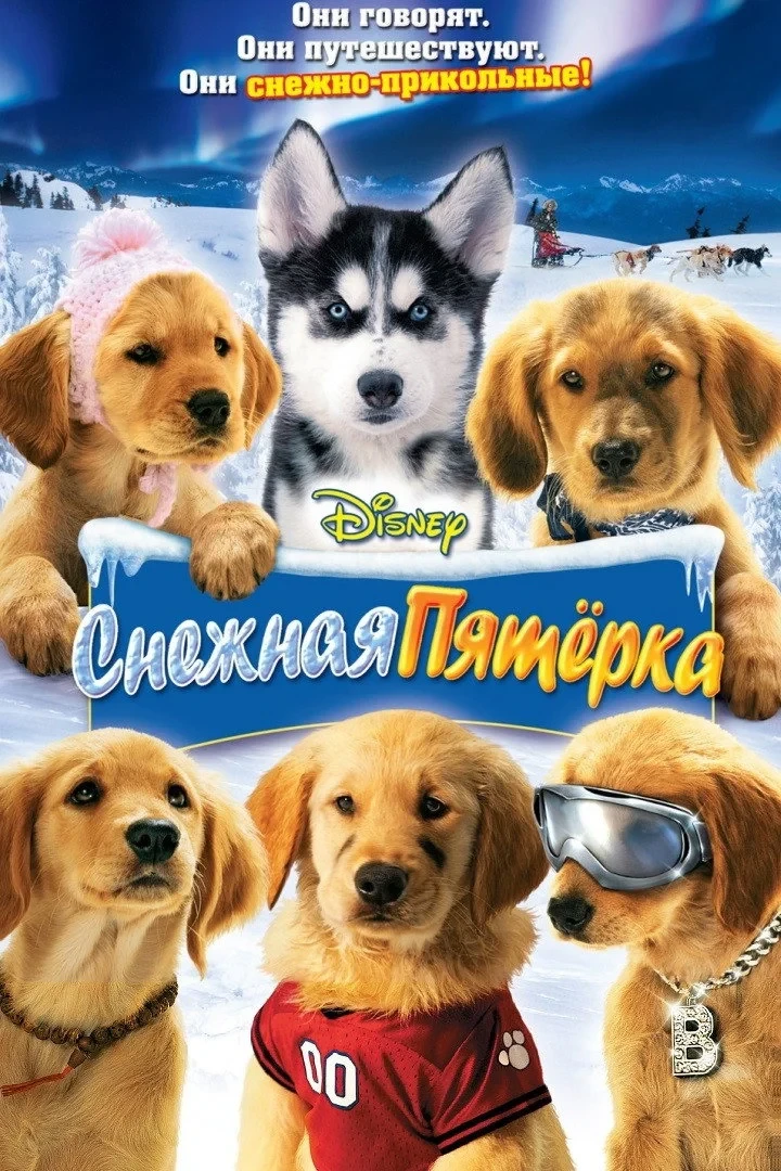 Постер фильма Снежная пятёрка
