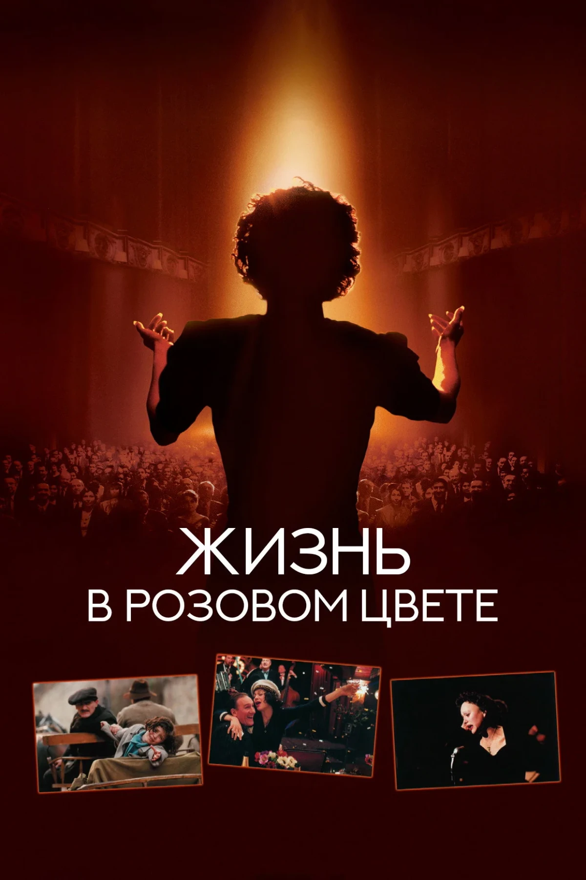 Постер фильма Жизнь в розовом цвете