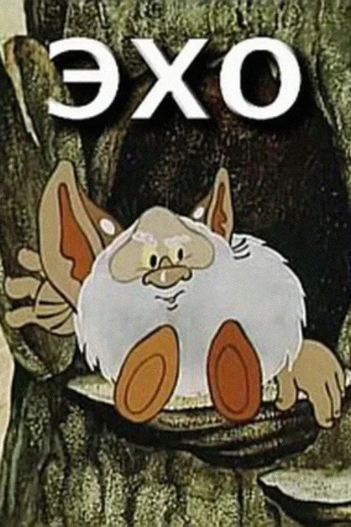 Постер фильма Эхо