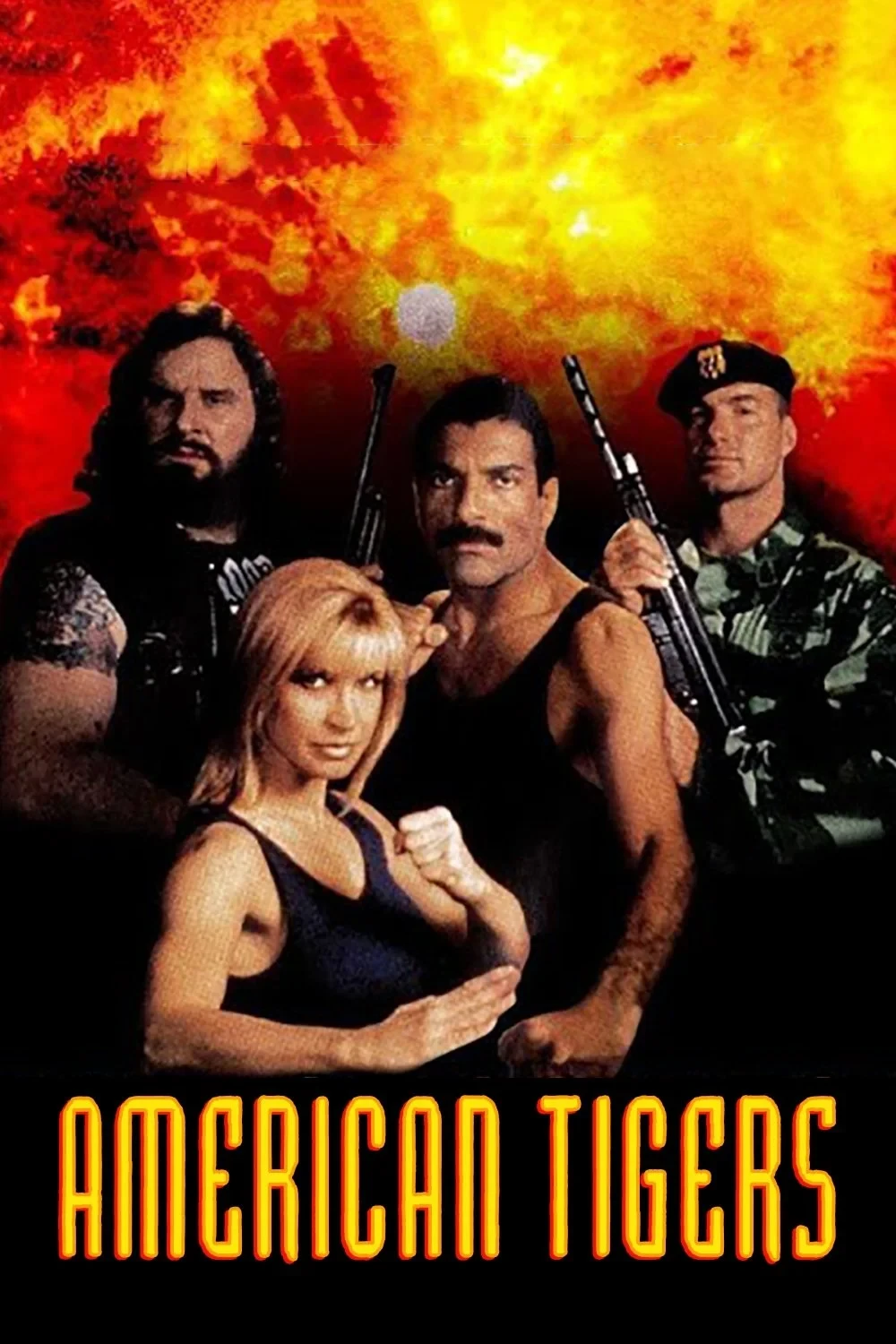 Постер фильма Американские тигры
