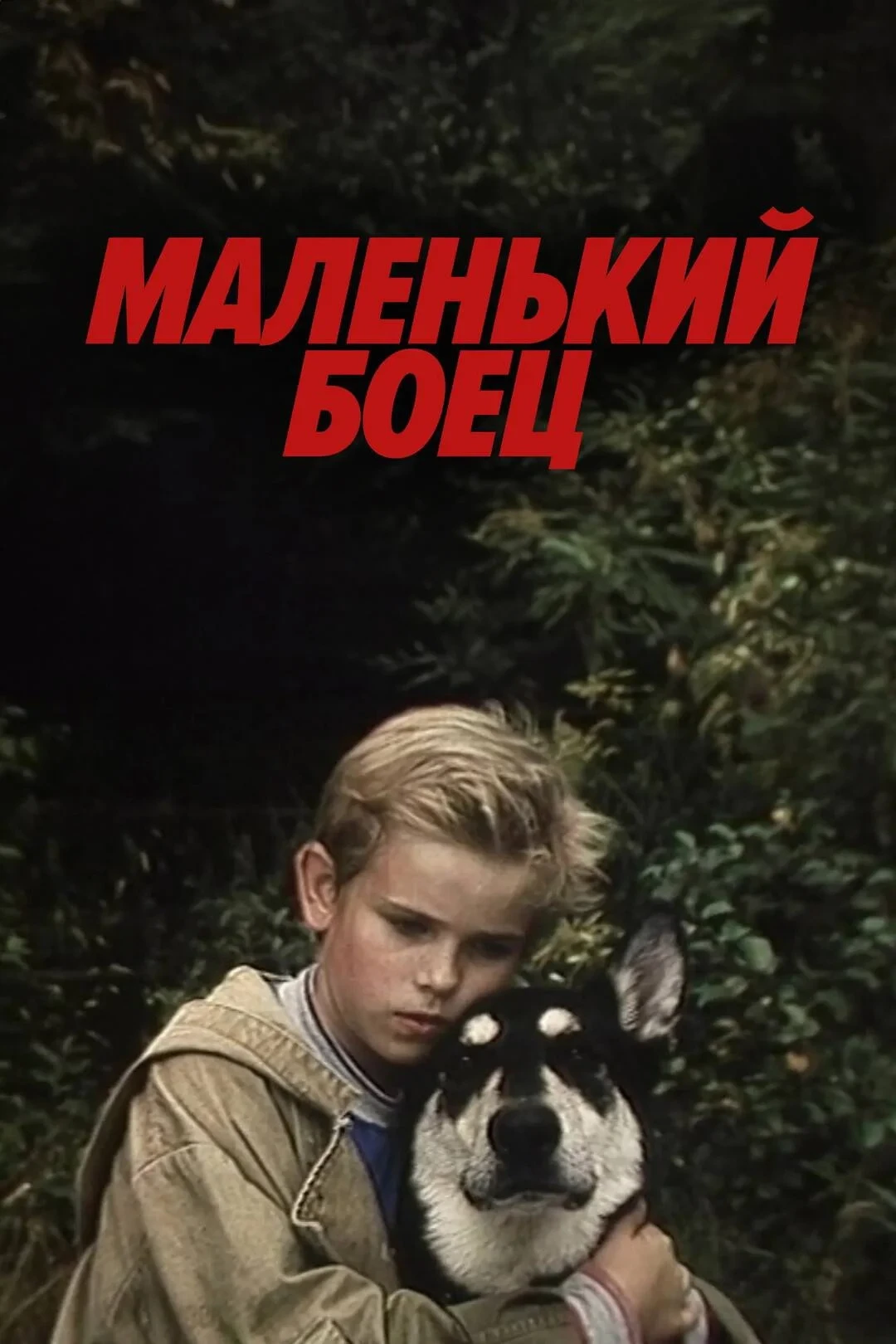 Постер фильма Маленький боец