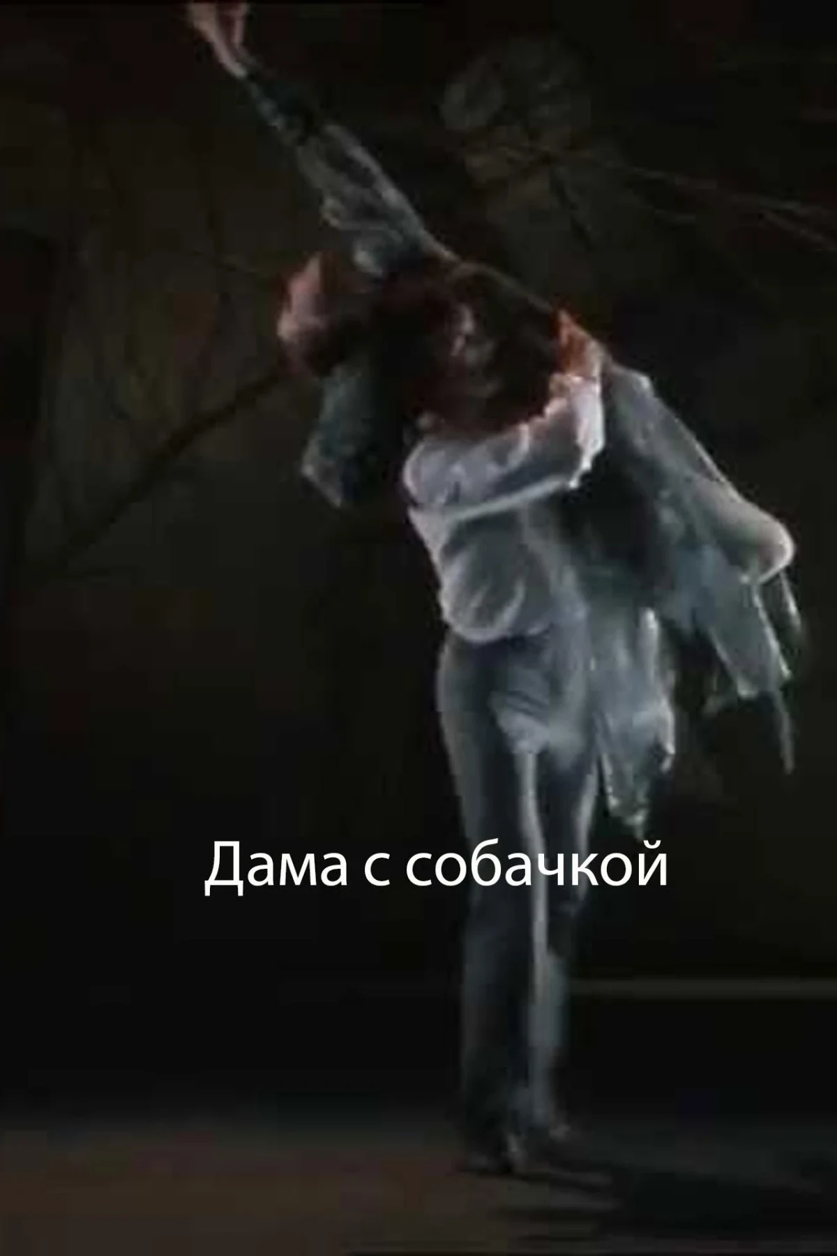 Постер фильма Дама с собачкой