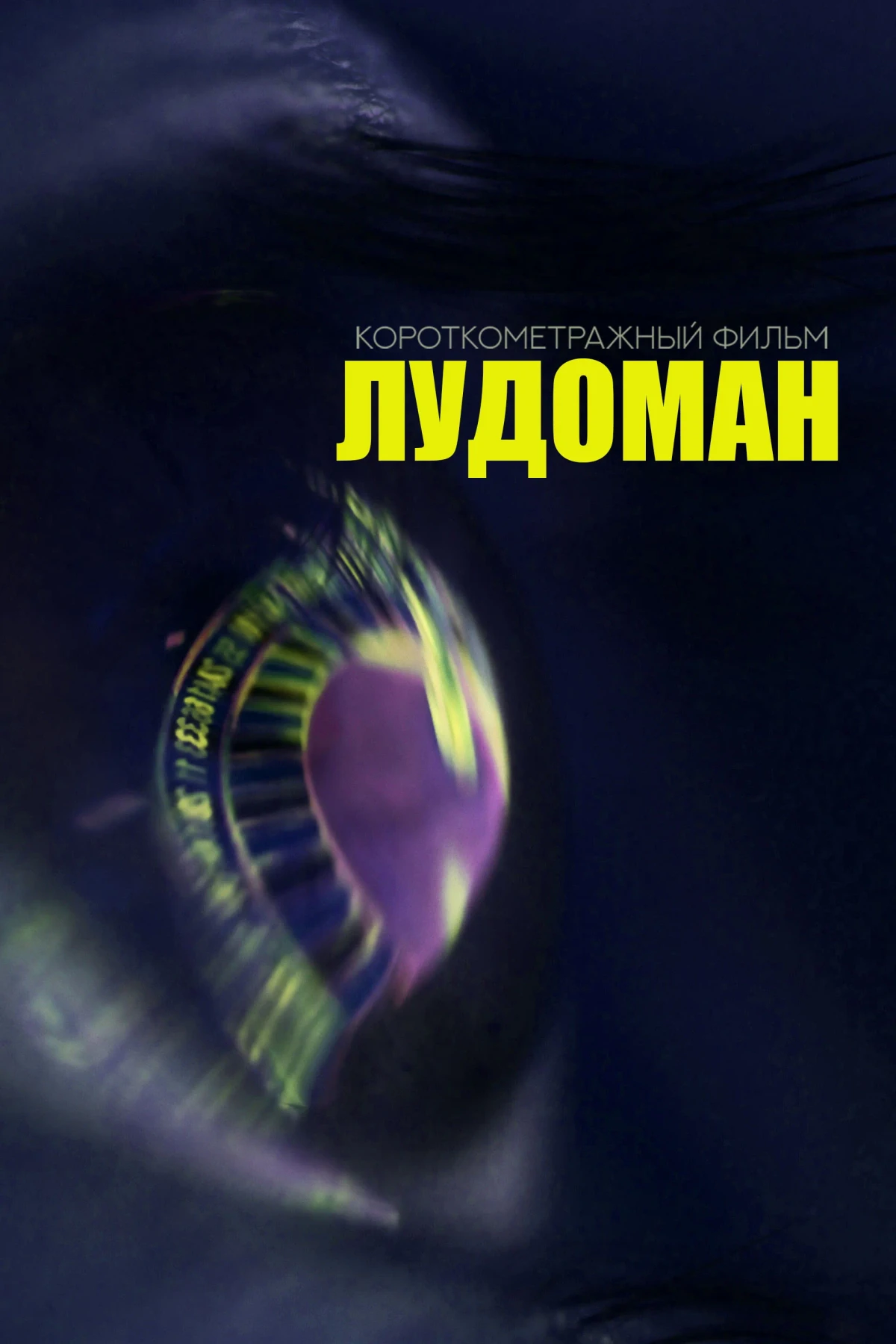 Постер фильма Лудоман