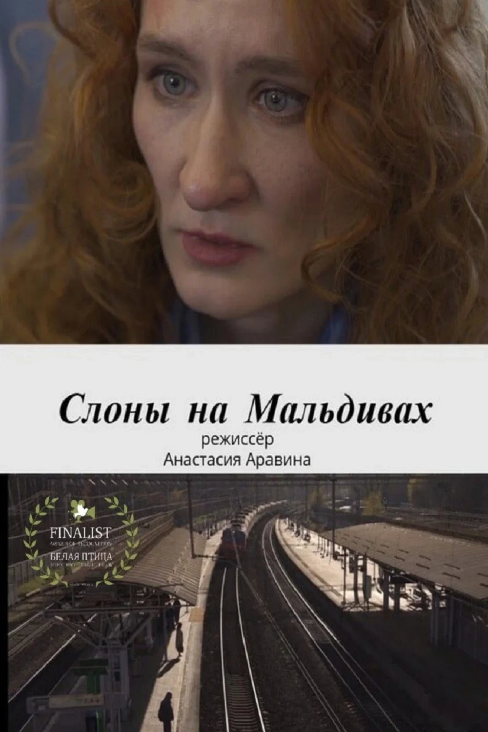 Постер фильма Слоны на Мальдивах