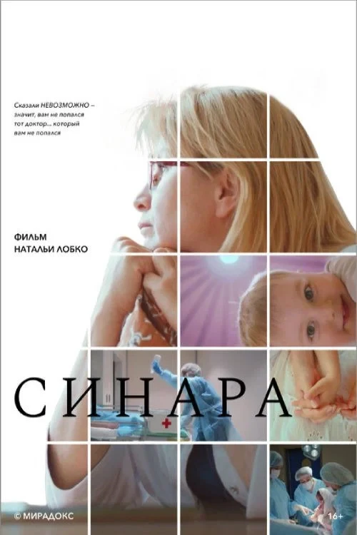 Постер фильма Синара