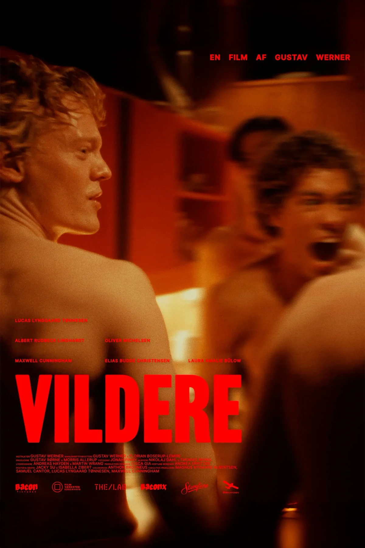 Постер фильма Vildere